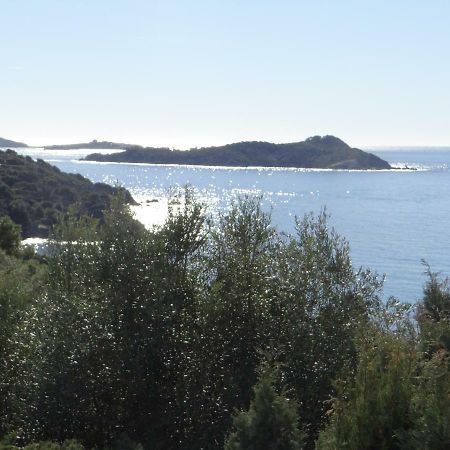 Appartement T2 50M² Vue Mer Presqu'Il De Giens. Rc Hyeres Ngoại thất bức ảnh