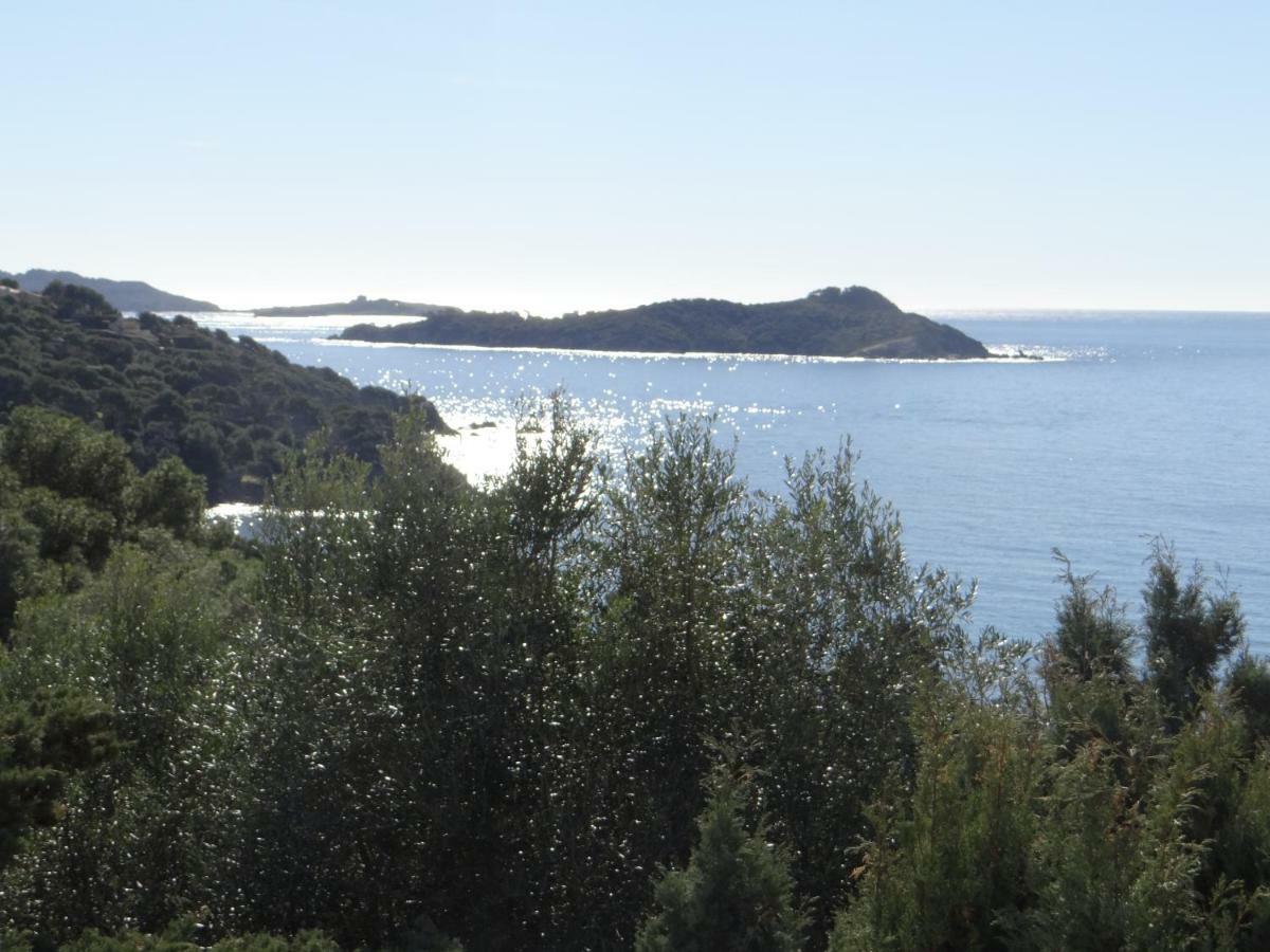 Appartement T2 50M² Vue Mer Presqu'Il De Giens. Rc Hyeres Ngoại thất bức ảnh